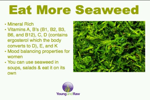 seawweed